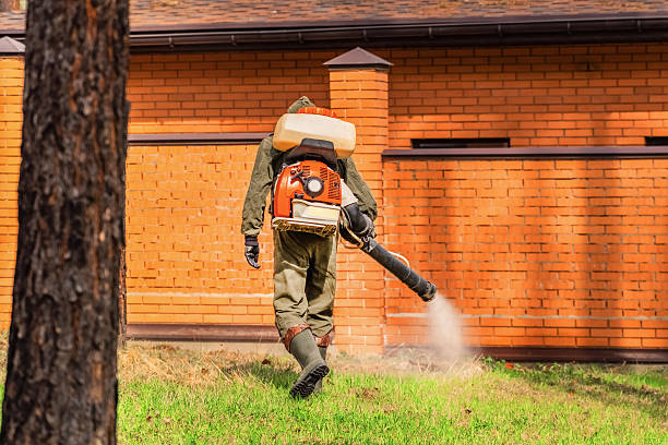 Trusted Bed Bug Control service in Locust Valley, NY - Nex Pest Control